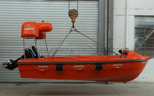4,3 млн спасательную лодку для 6p (NM43R 25HP)