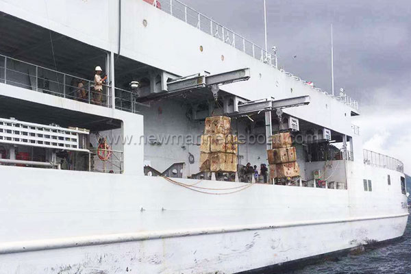 Гидравлический-телескопический-давит-2