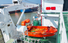 Single Arm Davit